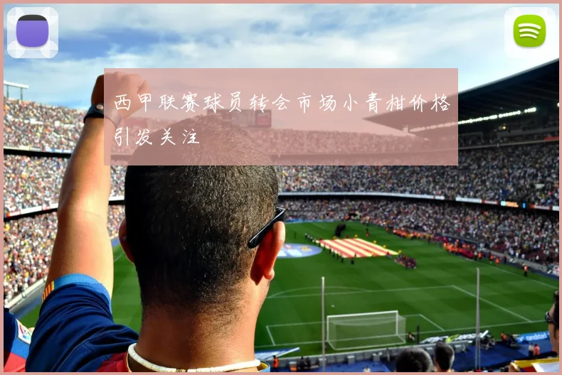 西甲联赛球员转会市场小青柑价格引发关注