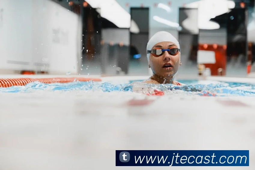 熊猫体育中国官方网站平台生态图